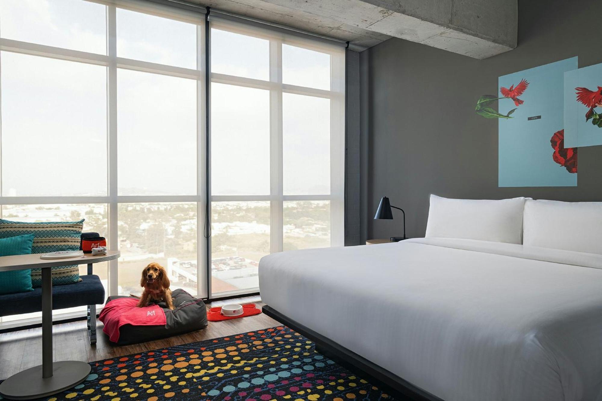 Hotel Aloft Guadalajara Sur à Santa Anita  Extérieur photo