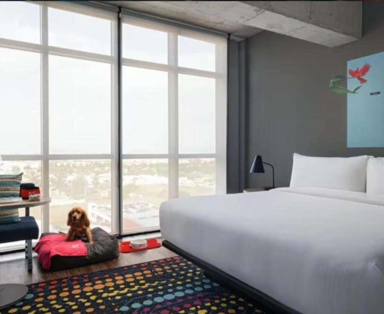 Hotel Aloft Guadalajara Sur à Santa Anita  Extérieur photo